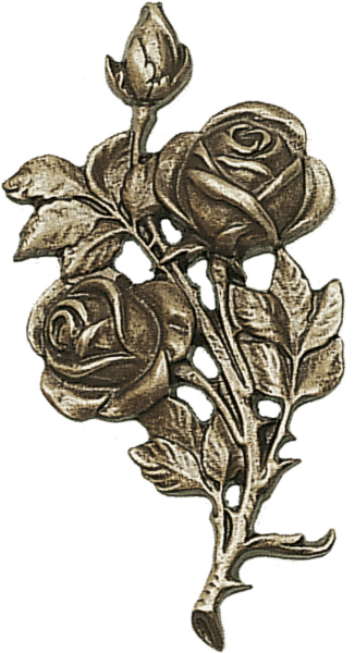 Rose, mit drei Blüten