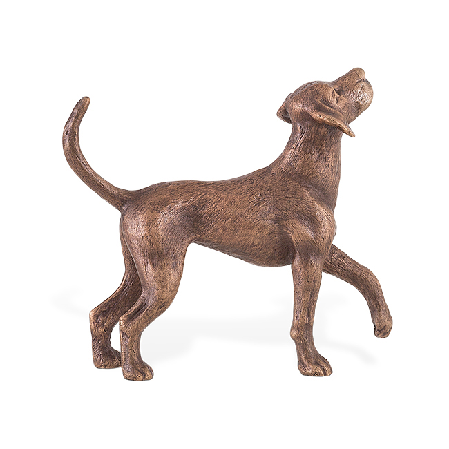 Erwartungsvoller Hund aus Bronze